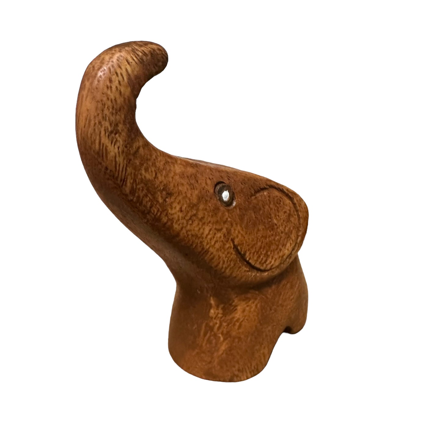 Dark Oak Protecting Elephant