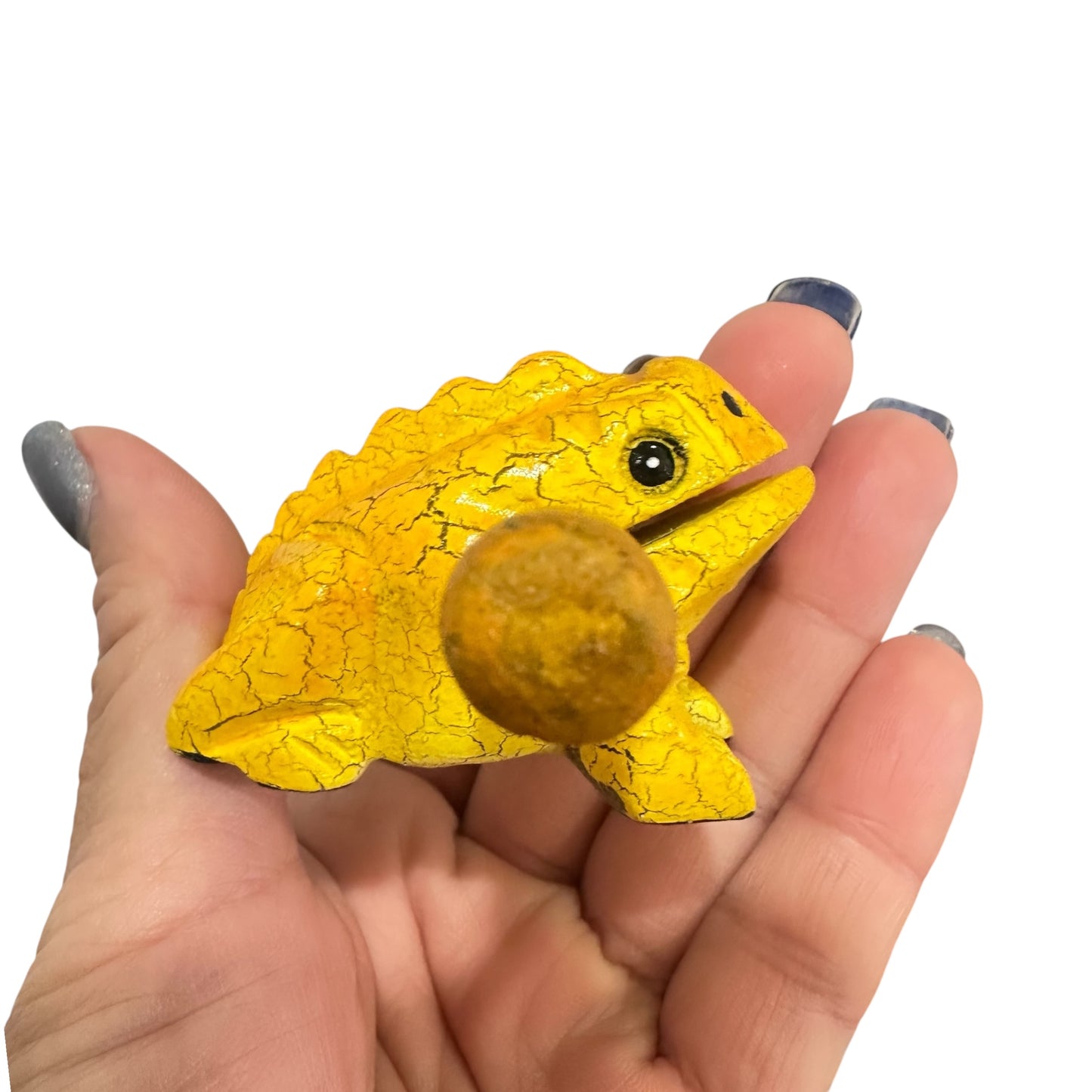 1.5" Extra Small Golden Dart Frog Musical Frog Percussion Instrument