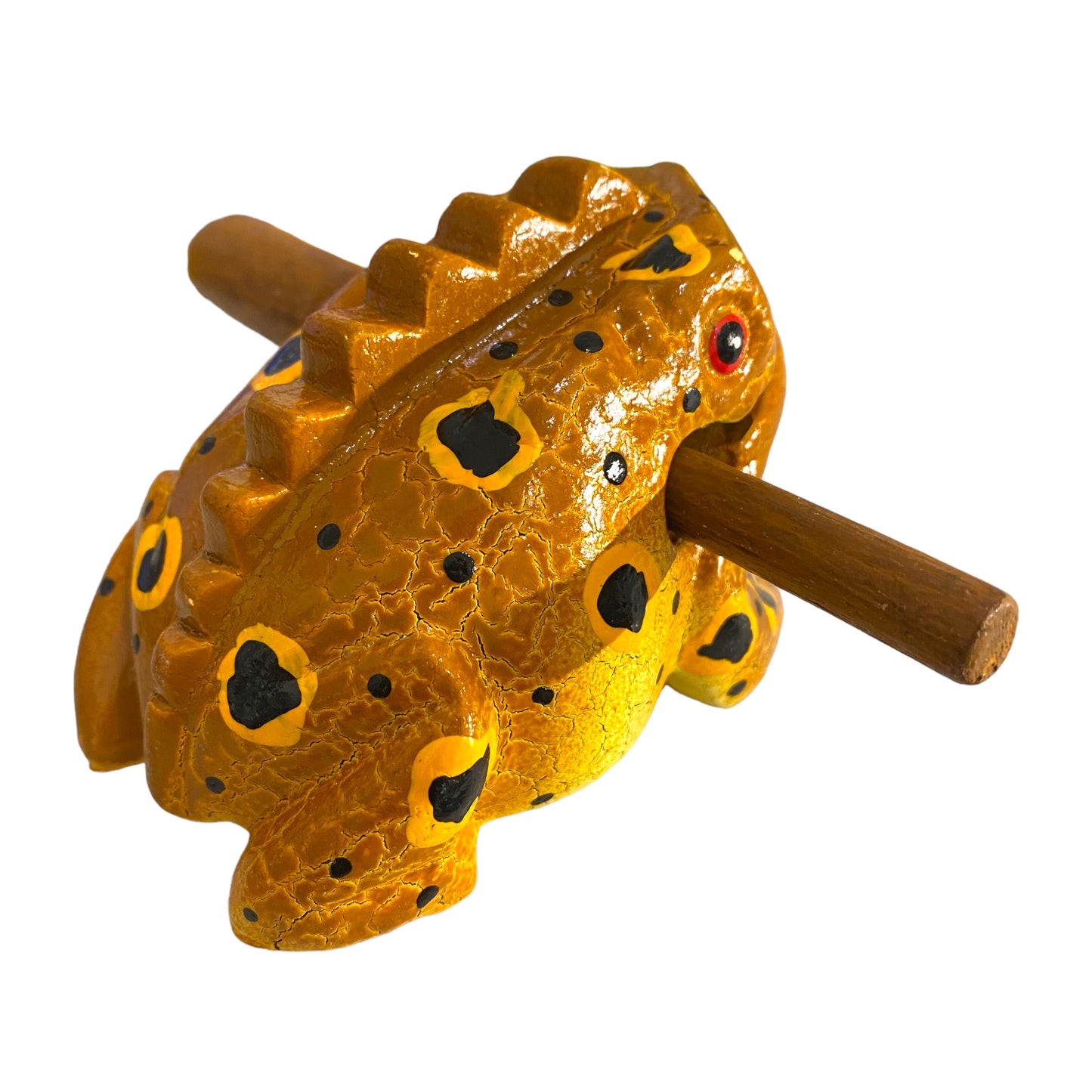 3" Medium Cinnamon Musical Percussion Frog3"