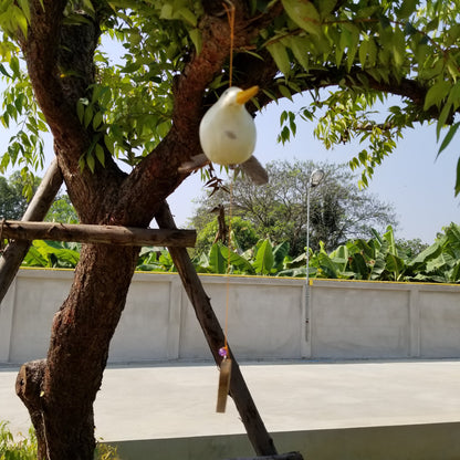 Hand-Painted Seagull Windchime with Feather Spinner